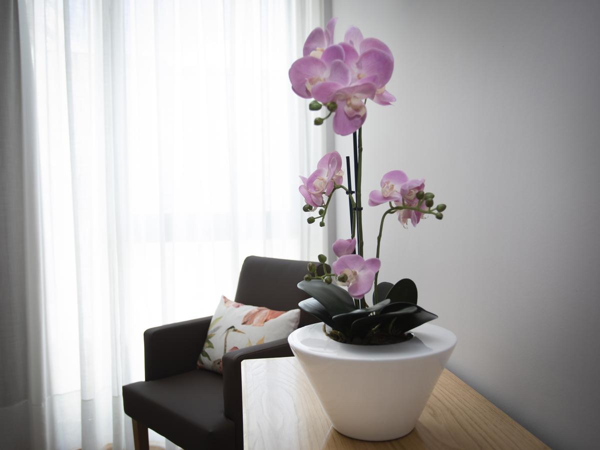 Hotel Novoa 사리아루고 외부 사진